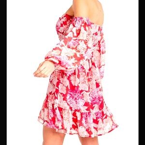 NWT Express XL Floral Print Chiffon Smocked Mini Dress